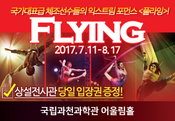 익스트림 퍼포먼스<FLYING: 플라잉> - 과천 포스터